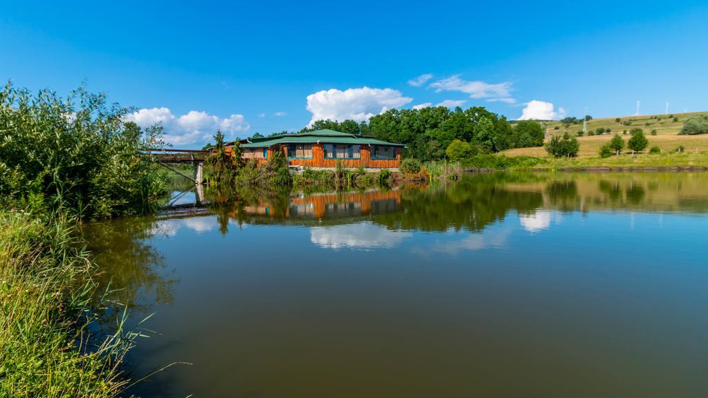 Hotel Dumbrava Rupea Bagian luar foto