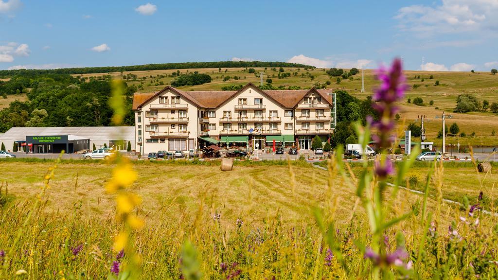 Hotel Dumbrava Rupea Bagian luar foto